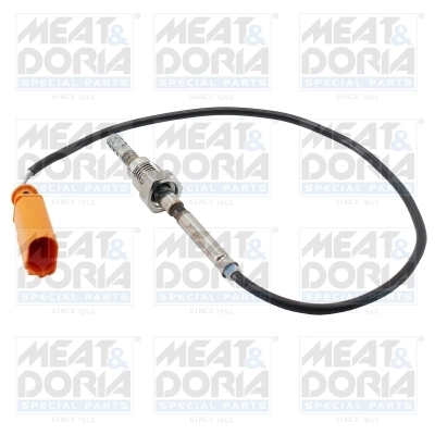 Sensor, exhaust gas temperature